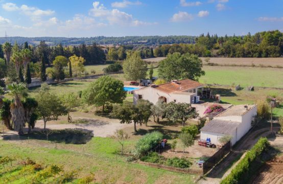 Schönes Landanwesen mit 2 Wohnräumen, Weinberg und Brunnen in Sencelles | Ref.: 13688